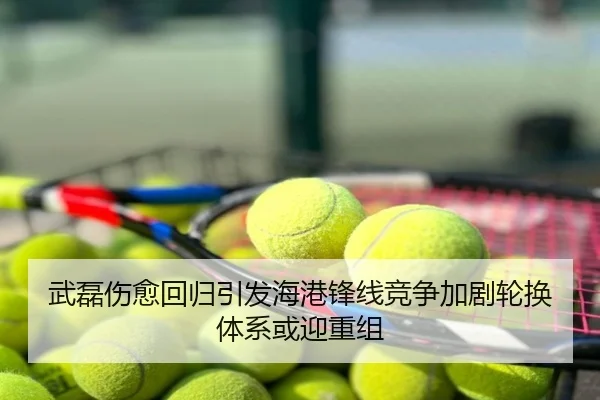 武磊伤愈回归引发海港锋线竞争加剧轮换体系或迎重组